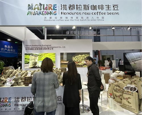 进博会多项规模创新高,朋友圈不断扩大 让世界共享中国大市场机遇