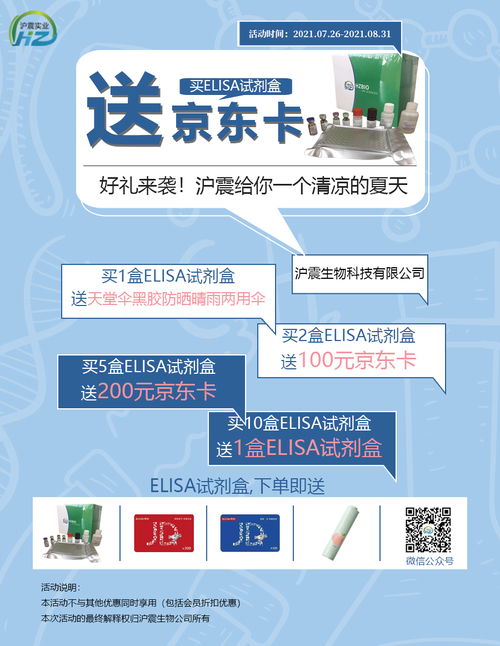 公司新闻 上海沪震实业