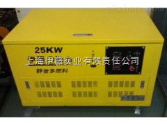 yt25reg 油田用25千瓦汽油发电机 yt25reg 上海伊藤实业有限责任公司