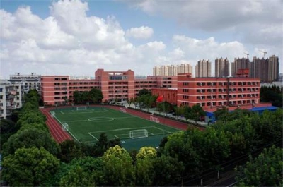 上海民办高中排行榜,西南位育中学位居榜首
